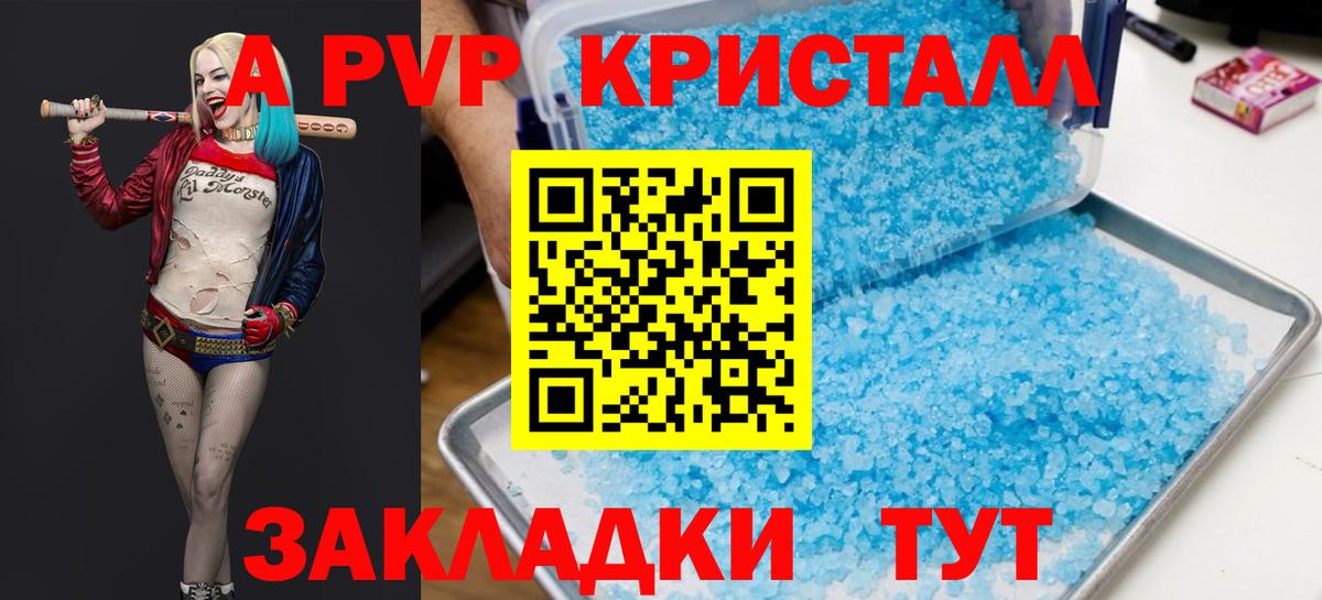 Alfa_PVP СК КРИС Майкоп
