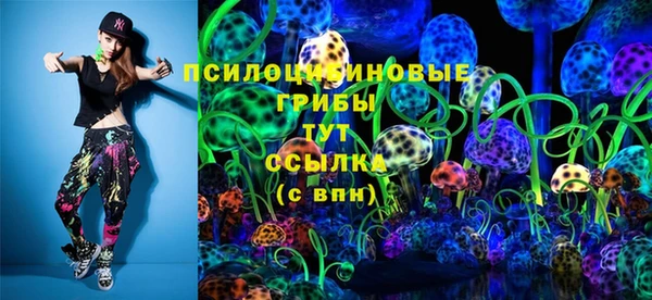 прущий лед Аркадак