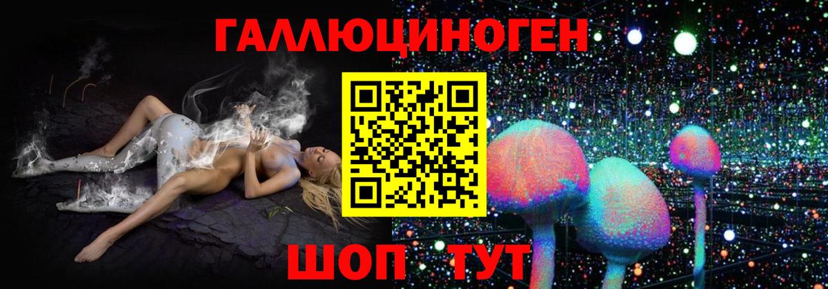 Псилоцибиновые грибы прущие грибы Майкоп