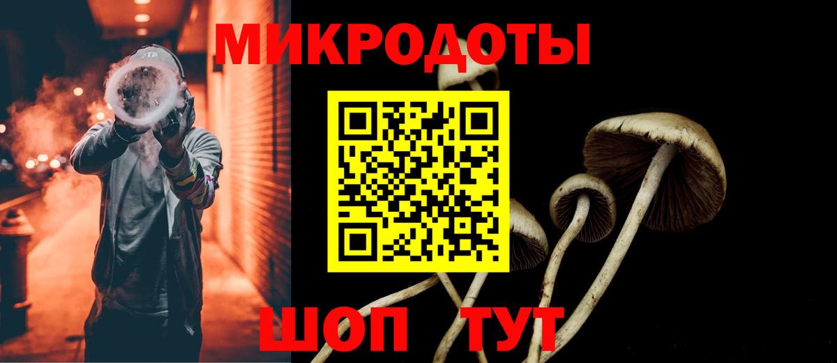 Галлюциногенные грибы Psilocybe  Вход с VPN  Майкоп 